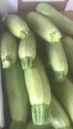 Zucchina verde chiara - immagine 2