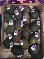 Avocado Hass - immagine 2