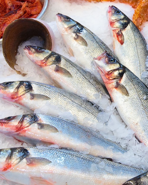 branzino-2 Branzino o spigola - immagine 1