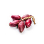 cipolla-viola-tropea