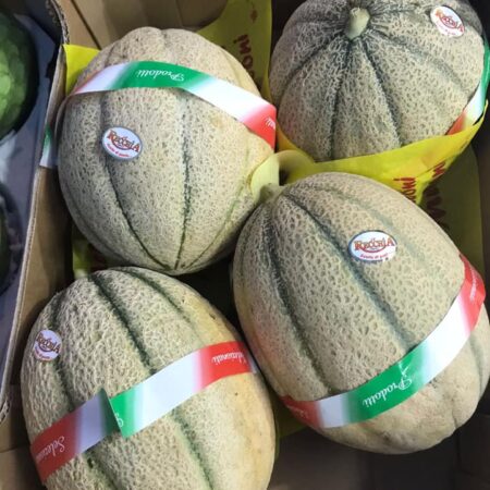 melone cantalupo