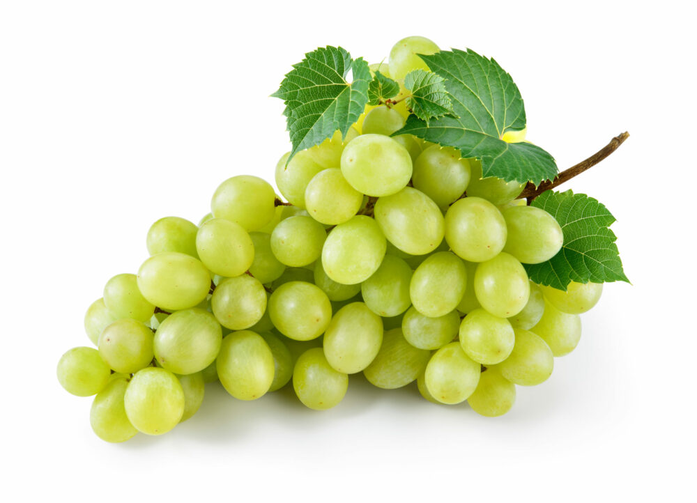 Green grape with leaves isolated on white. With clipping path. F Uva bianca Sicilia - immagine 1