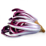 Radicchio tardivo