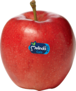 Mela Melinda bianca - immagine 3