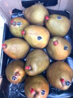 Pera decana - immagine 2