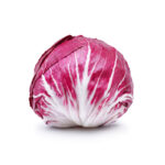 Radicchio tondo