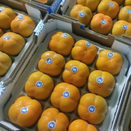 119621990_800464114022869_4362248605567915232_n