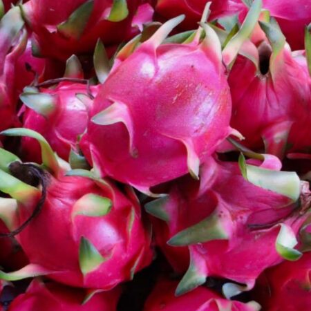 36772361_277285306340755_5828573355736825856_n