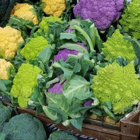 52724345_419782852090999_7899220094645960704_n