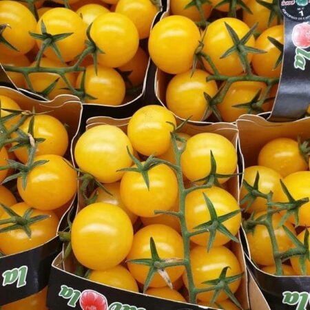 52914712_419782538757697_6501494452123598848_n