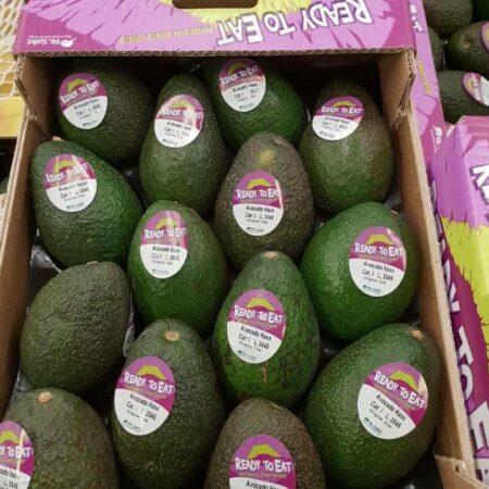 52917270_419782618757689_859679709074554880_n