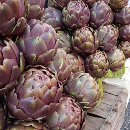 52930402_419782665424351_9210791845716557824_n