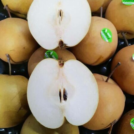 52974010_419782472091037_1532120885815672832_n