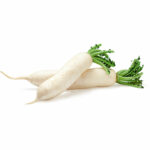 Rapa rettica o Daikon