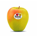 Mela Val Venosta - immagine 2