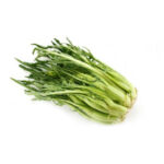 Puntarelle