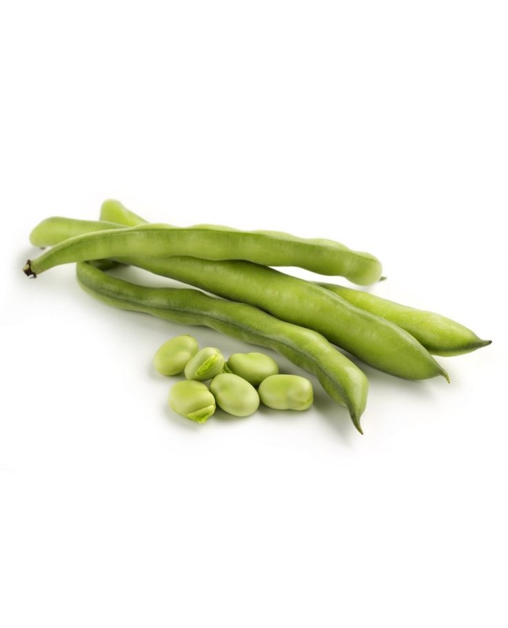 fava Fave - immagine 1