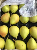 Pera coscia - immagine 2