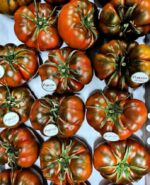 Pomodoro costoluto - immagine 2