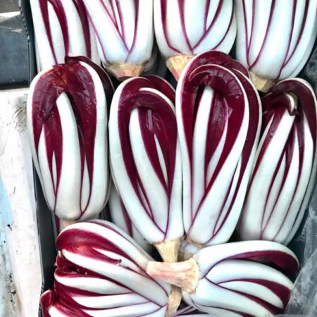 radicchio