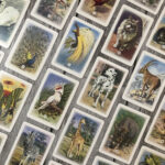 DAL NEGRO - CARTE MERCANTE IN FIERA - immagine 2