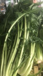 Cicoria catalogna - immagine 2