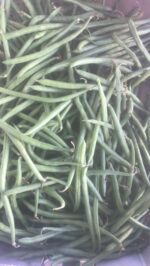 Fagiolini Boby - immagine 2