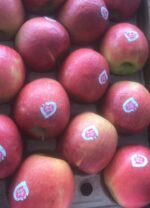 Mela Pink Lady - immagine 2