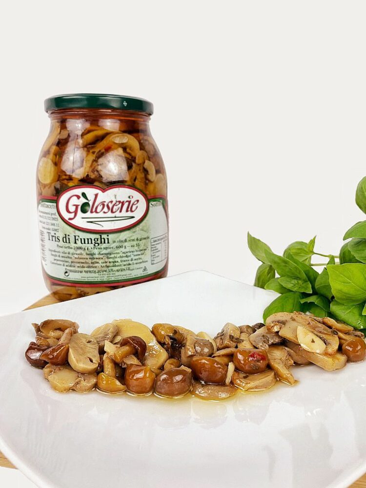 307550750_568465455082049_4478610349708454376_n