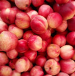 Pesca bianca - immagine 2