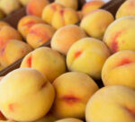 Pesca Percoca gialla - immagine 2