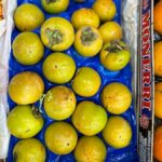 Caco vaniglia - immagine 2