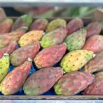 Fichi d'india - immagine 2